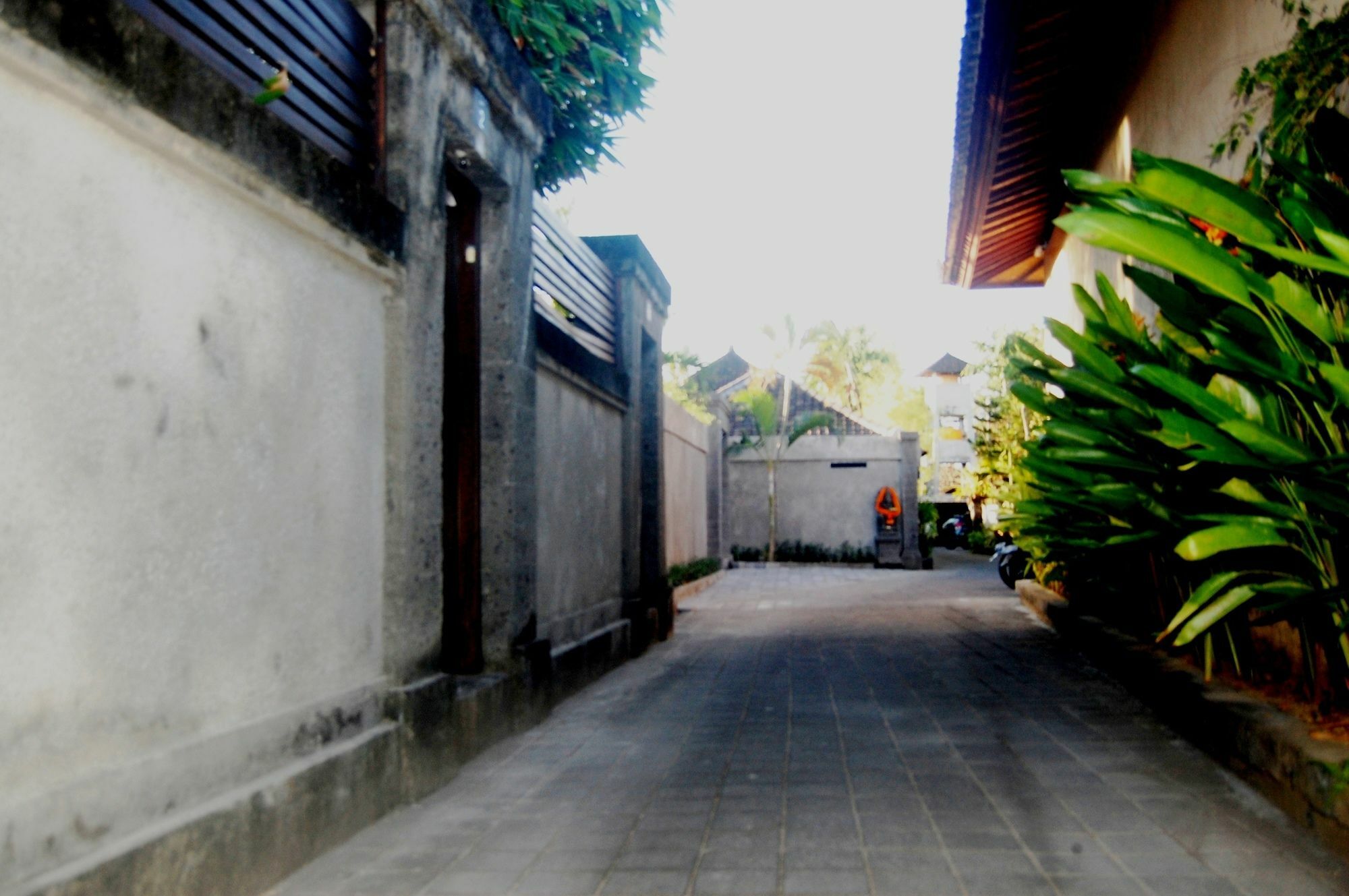 Alit Seminyak (Bali)