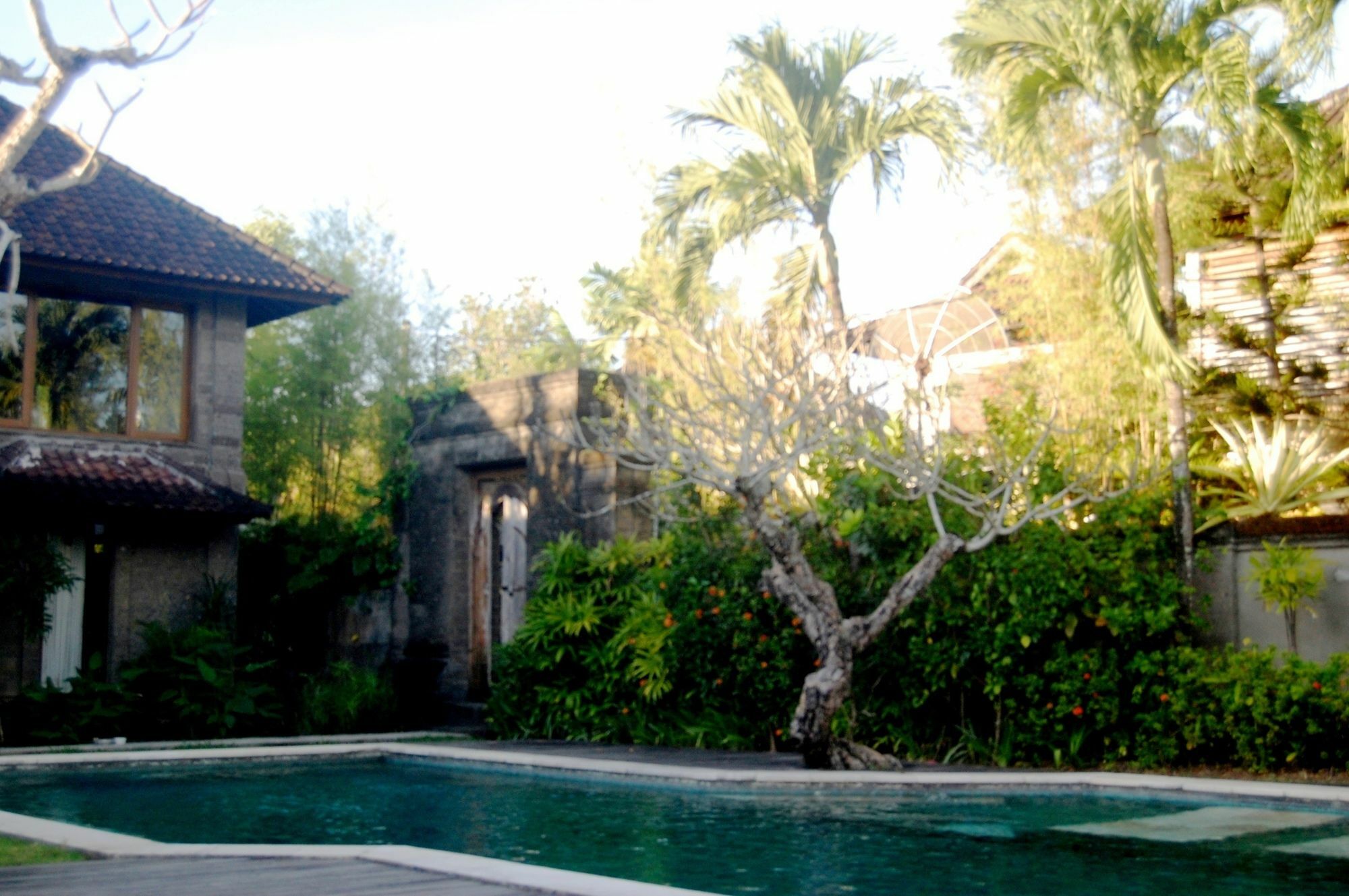 Alit Seminyak (Bali)